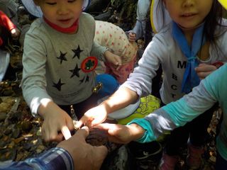 100603_02.jpg 100603_02.jpg