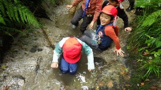 101018_02.jpg 101018_02.jpg