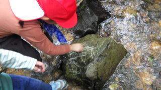 101018_03.jpg 101018_03.jpg