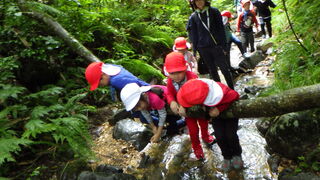 101018_04.jpg 101018_04.jpg