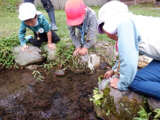 101018_06.jpg 101018_06.jpg