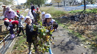 101031_01.jpg 101031_01.jpg