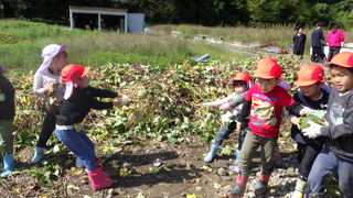 101031_04.jpg 101031_04.jpg
