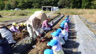 101031_05.jpg 101031_05.jpg