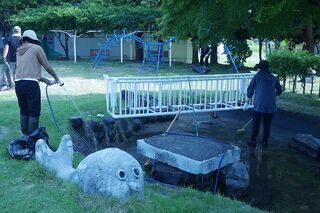 101135_02.jpeg