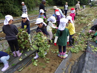 101142_02.jpg 101142_02.jpg