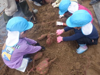 101142_05.jpg 101142_05.jpg