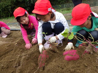 101142_06.jpg 101142_06.jpg