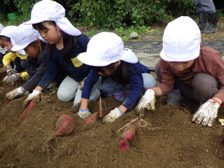 101142_07.jpg 101142_07.jpg