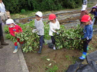 101142_08.jpg 101142_08.jpg