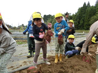 101142_10.jpg 101142_10.jpg