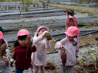 101142_11.jpg 101142_11.jpg