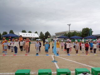 101143_01.jpg 101143_01.jpg