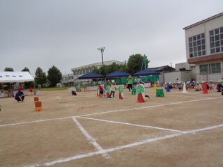 101143_05.jpg 101143_05.jpg