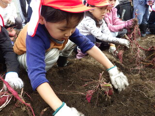 101197_04.jpg