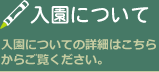 入園について　入園についての詳細はこちらからご覧下さい。