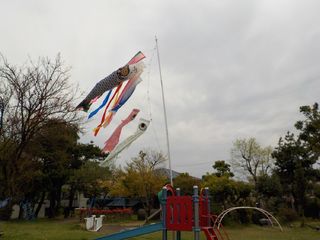 100460_02.jpg