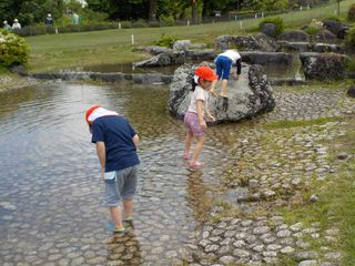 100463_03.jpg