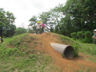 100463_05.jpg