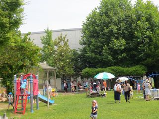 100477_02.jpg