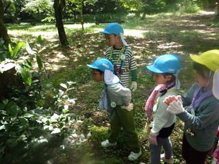 101187_01.jpg 101187_01.jpg